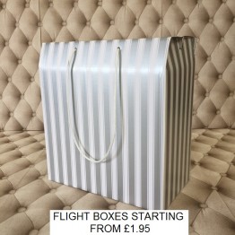 Flight Box Silver and White 